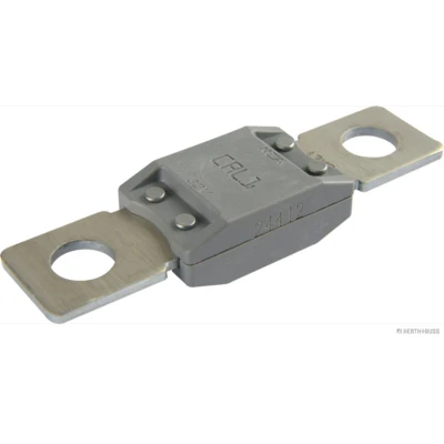 Imagem de Fusível HERTH+BUSS ELPARTS 50295841