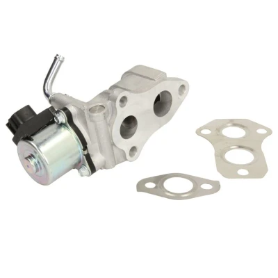 Imagem de DELPHI EG10439 12B1 Válvula EGR TOYOTA: RAV4 II SUV