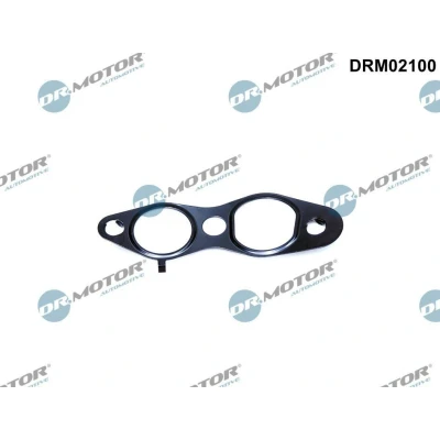 Imagem de DR.MOTOR AUTOMOTIVE DRM02100 Juntas CITROËN: C5 3, C4 I Grand Picasso