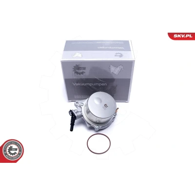 Imagem de ESEN SKV 18SKV059 Bomba de Vácuo MINI: Hatchback, PEUGEOT: 3008 I, 207 SW