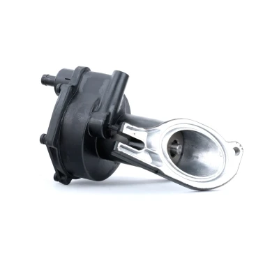 Imagem de RIDEX 387V0002 Bomba de Vácuo com retentor FORD: Focus Mk1 Carrinha, S Max Mk1, Hatchback
