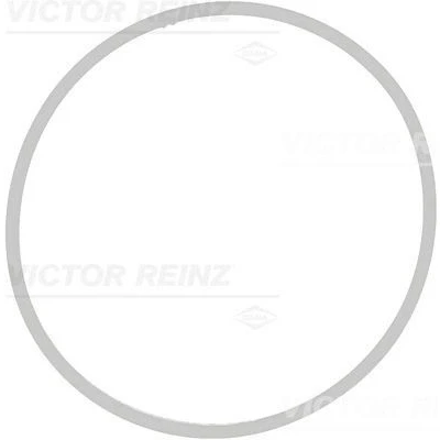 Imagem de REINZ 71 39409 00 Junta de Coletor Admissão FPM (borracha flúor) BMW: 5 Sedan, Touring