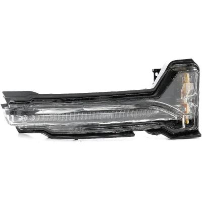 Imagem de METZGER Intermitente Retrovisor exterior direito com porta lâmpadas marca de aprovação E LED 2080156