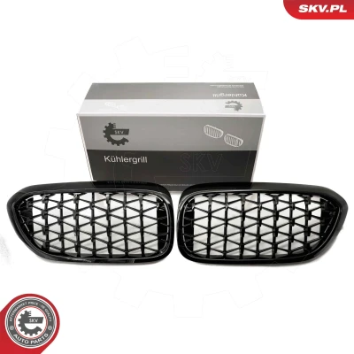 Imagem de ESEN SKV 66SKV200 Grelha de Radiador brilhante, preto BMW: 5 Touring