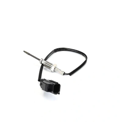 Imagem de DELPHI Sensor TS30392 12B1