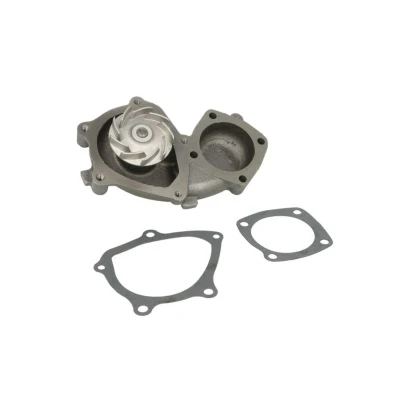 Imagem de MAGNETI MARELLI 352316170314 Bomba de água FIAT: Punto I Hatchback, Palio Weekend