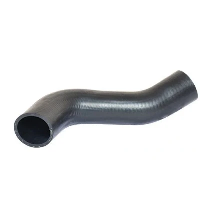 Imagem de BUGIAD 88700 Mangueira Para o Turbocompressor