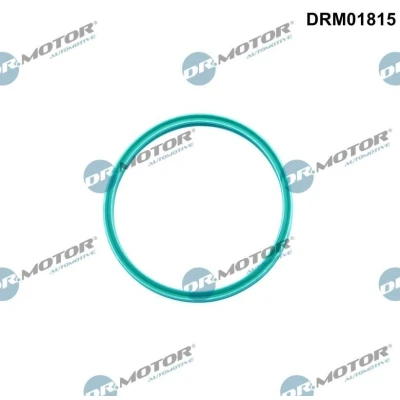 Imagem de DR.MOTOR AUTOMOTIVE DRM01815 Retentor, tubo do ar de sobrealimentação VOLKSWAGEN: Golf 5, Passat B6 Variant, B5 GP Sedan, AUDI: A3 Hatchback