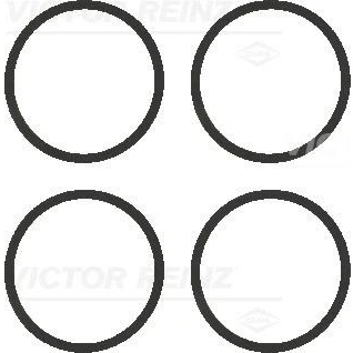 Imagem de REINZ 11 77542 01 Jogo de juntas, colector admissão SEAT: Ibiza 2, VOLKSWAGEN: Polo III Hatchback, Golf 4