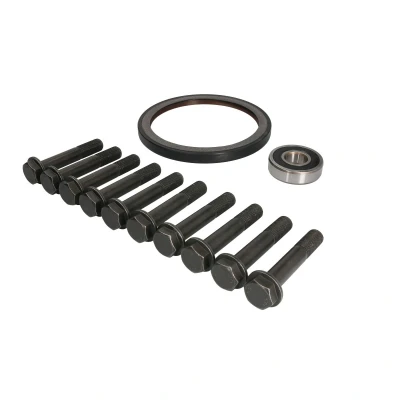 Imagem de Kit de reparação, volante do motor FEBI BILSTEIN 46307
