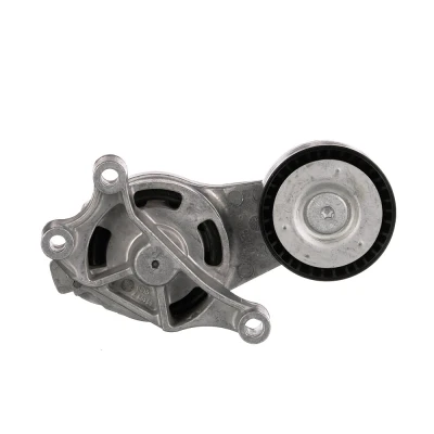 Imagem de GATES FleetRunner Micro V Kit T39084 Polia Tensora VOLKSWAGEN: Passat B6 Sedan, Scirocco III, Polo Hatchback, AUDI: A3 Sportback