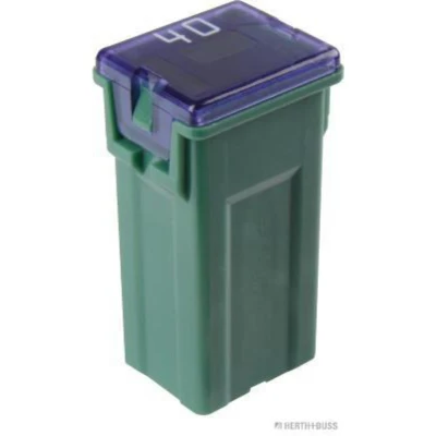 Imagem de HERTH+BUSS ELPARTS 50295480 Fusível 40 verde 32
