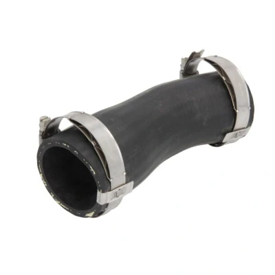 Imagem de Mangueira de ar do carregador THERMOTEC DCA019TT