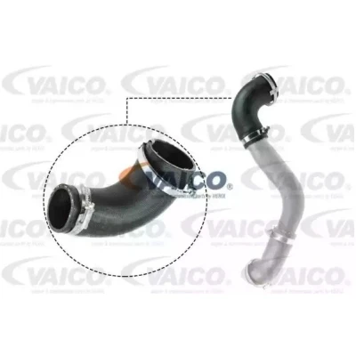 Imagem de VAICO V25 1050 Mangueira Para o Turbocompressor Borracha com entretela Q+, original equipment manufacturer quality FORD: FOCUS 3 Turnier