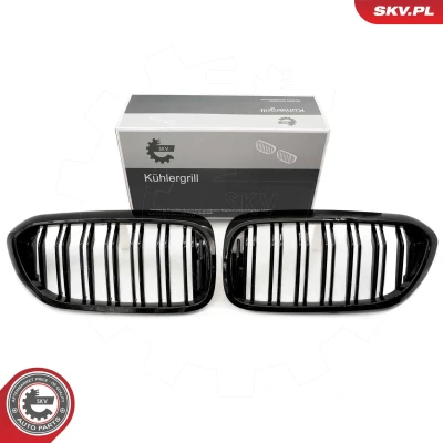 Imagem de ESEN SKV 66SKV193 Grelha de Radiador brilhante, preto BMW: 5 Touring