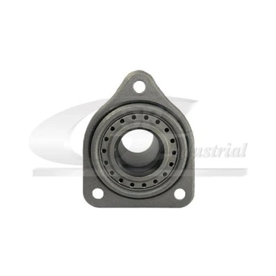 Imagem de 3RG 24908 Casquilho de guia, embraiagem ALFA ROMEO: 147