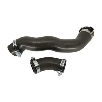 Imagem de BUGIAD 82566 Mangueira Para o Turbocompressor com braçadeiras RENAULT: Megane 4, GRAND SCENIC Captur, NISSAN: Qashqai 2, DACIA: Lodgy, Duster II