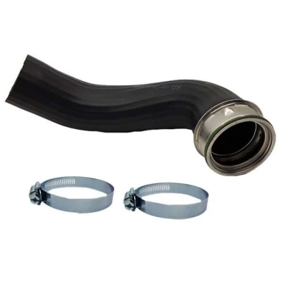 Imagem de BUGIAD 81924 Mangueira Para o Turbocompressor 66 com braçadeiras VOLKSWAGEN: Tiguan I