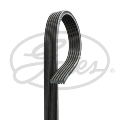 Imagem de GATES 6DPK1238 Correia trapezoidal estriada 1238 6 Poliéster, EPDM (borracha de etileno propileno dieno) FleetRunner Micro V FIAT: BRAVO 1