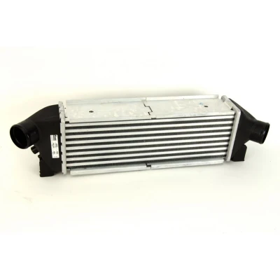 Imagem de NISSENS 96642 Intercooler