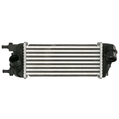Imagem de THERMOTEC DAF015TT Intercooler