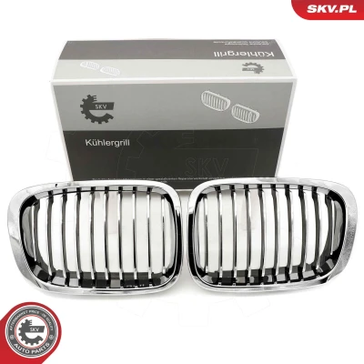Imagem de ESEN SKV 66SKV063 Grelha de Radiador crómio BMW: 3 Sedan, Touring, Compact