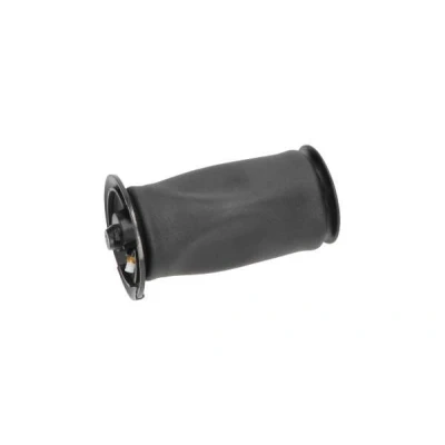 Imagem de KAVO PARTS SAS 10005 Mola pneumática, chassis Eixo traseiro BMW: 5 Touring
