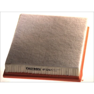 Imagem de FILTRON AP 029/1 Filtro de ar 57 256 324 Cartucho filtrante BMW: X5, X6