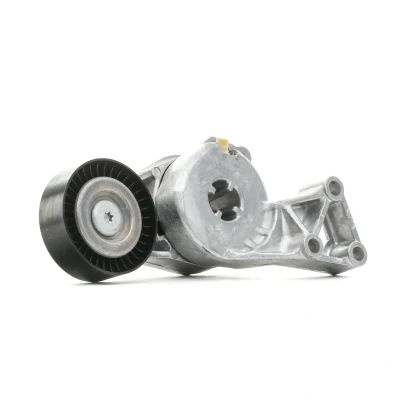 Imagem de INA 533 0076 30 Tensor, correia trapezoidal estriada VOLKSWAGEN: Golf 4, Polo IV Hatchback, Passat B6 Variant, SEAT: Leon I Ibiza 2