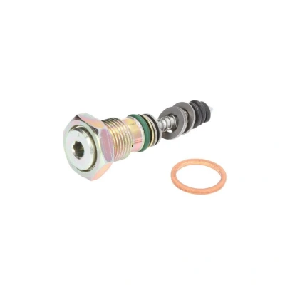 Imagem de BOSCH F 026 T03 010 Regulador da pressão de combustível
