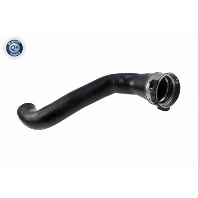 Imagem de VAICO V48 0187 Mangueira Para o Turbocompressor Borracha com entretela Q+, original equipment manufacturer quality