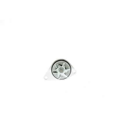 Imagem de AISIN WPPG 003V Bomba de água PEUGEOT: 307 Hatchback, 206 207 CITROËN: C3 I Saxo Xsara Carrinha