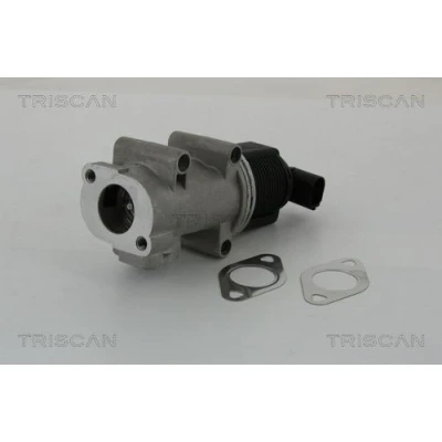 Imagem de TRISCAN 8813 10005 Válvula EGR electrónico com juntas FIAT: Doblo I Cargo, LANCIA: Lybra Carrinha, ALFA ROMEO: 156 Sportwagon