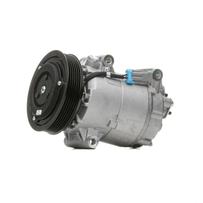 Imagem de NISSENS 89072 Compressor CVC6 12 PAG 46 R 134a RENAULT: MEGANE 2 Kombi, 2, Coupe Cabriolet, NISSAN: Qashqai / Qashqai+2 I