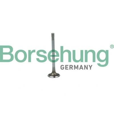 Imagem de Borsehung B19020 Válvula de Admissão VOLKSWAGEN: GOLF 6