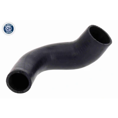 Imagem de VAICO V10 3812 Mangueira Para o Turbocompressor Borracha com entretela Q+, original equipment manufacturer quality VOLKSWAGEN: Polo IV Hatchback