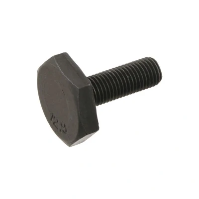 Imagem de FEBI BILSTEIN 32183 Parafuso, carreto do veio de excêntricos