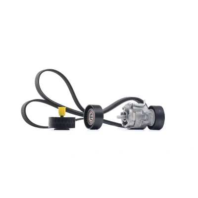 Imagem de SKF VKMA 32098 Jogo de correias trapezoidais estriadas ALFA ROMEO: 159 Sportwagon