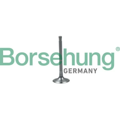 Imagem de Borsehung B19024 Válvula de Admissão