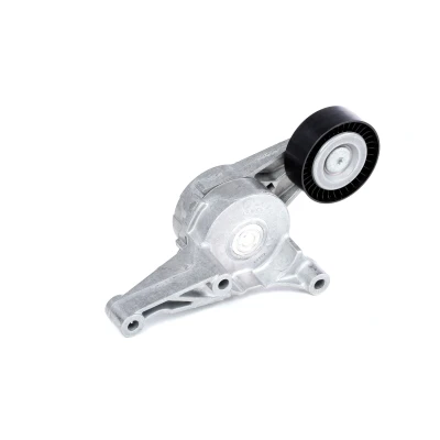 Imagem de SKF VKM 31054 Polia Tensora VOLKSWAGEN: Passat B6 Sedan, Variant, Golf Plus / Crossgolf, AUDI: A3 Sportback, SEAT: Alhambra I endado,