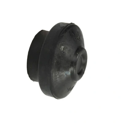 Imagem de REINHOCH RH11 0043 Batente de encosto, suspensão do motor à frente VOLKSWAGEN: Passat B5 GP Sedan, Variant, Variant