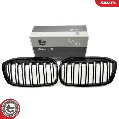 Imagem de ESEN SKV 66SKV042 Grelha de Radiador brilhante, preto