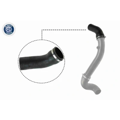 Imagem de VAICO V30 2717 Mangueira Para o Turbocompressor Borracha com entretela Original Quality MERCEDES BENZ: Classe E Sedan
