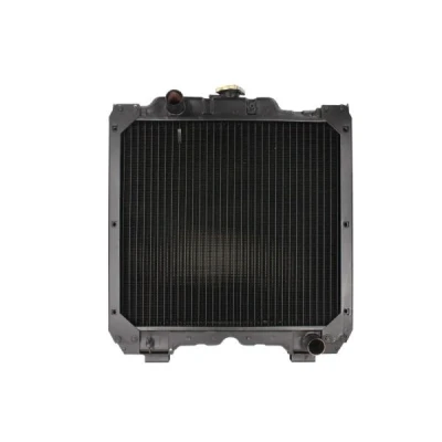 Imagem de Radiador, arrefecimento do motor THERMOTEC D7AG022TT