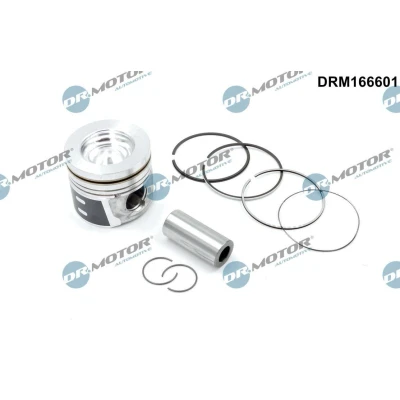 Imagem de Êmbolo Dr.Motor Automotive DRM166601