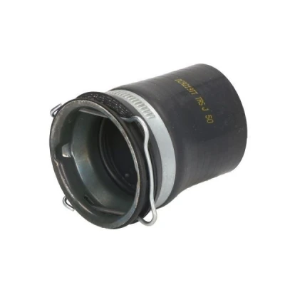 Imagem de THERMOTEC DCR219TT Mangueira Para o Turbocompressor RENAULT: LAGUNA 3 Grandtour,