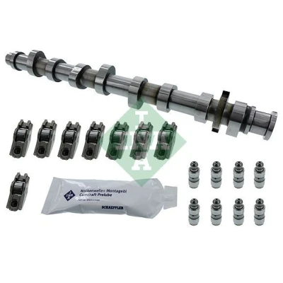 Imagem de INA 428 0050 30 Jogo de árvores cames com came válvula AUDI: A3 Hatchback, A4 B6 Avant, B5 Sedan, VOLKSWAGEN: Passat GP Sedan