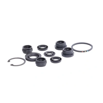 Imagem de AUTOFREN SEINSA D1260 Kit de reparação, bomba central dos travões RENAULT: MEGANE 1 Cabriolet, LAGUNA 1, PEUGEOT: 406 Carrinha, Partner I Van endado,