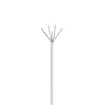 Imagem de Ewent Bobina Cable de Red RJ45 Cat.6 U/UTP 305m Gris
