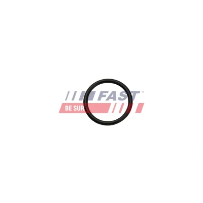 Imagem de FAST FT50404 Coletor de Admissão FIAT: BRAVO 2, Doblo II Van / Carrinha, Grande Punto Hatchback, ALFA ROMEO: Giulietta MiTo